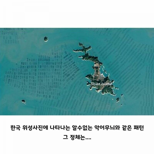 image.png 해외에서 난리난 국내 위성사진