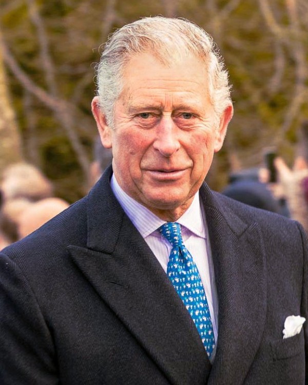 e9d9b4462421474b225babc1168ce166.jpg 강력한 영국 왕실의 눈몰림 유전자.jpg