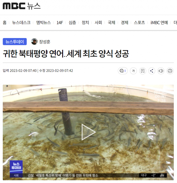 image.png 오늘자뉴스) 북태평양 연어 국내에서 세계최초 양식 성공.jpg