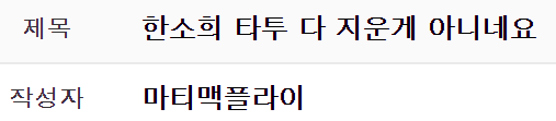 image.png 한소희가 미처 지우지 못한거 같다는 타투부위