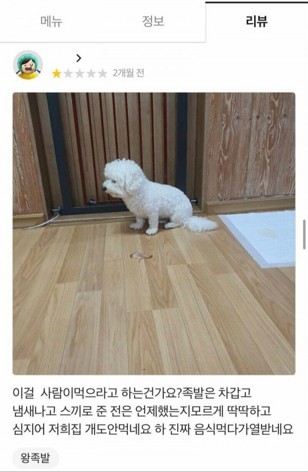 개족발.jpg 개도 안 먹는다는 족발 리뷰.JPG