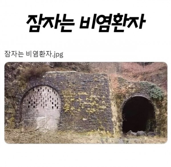 잠 자는 비염환자.jpg